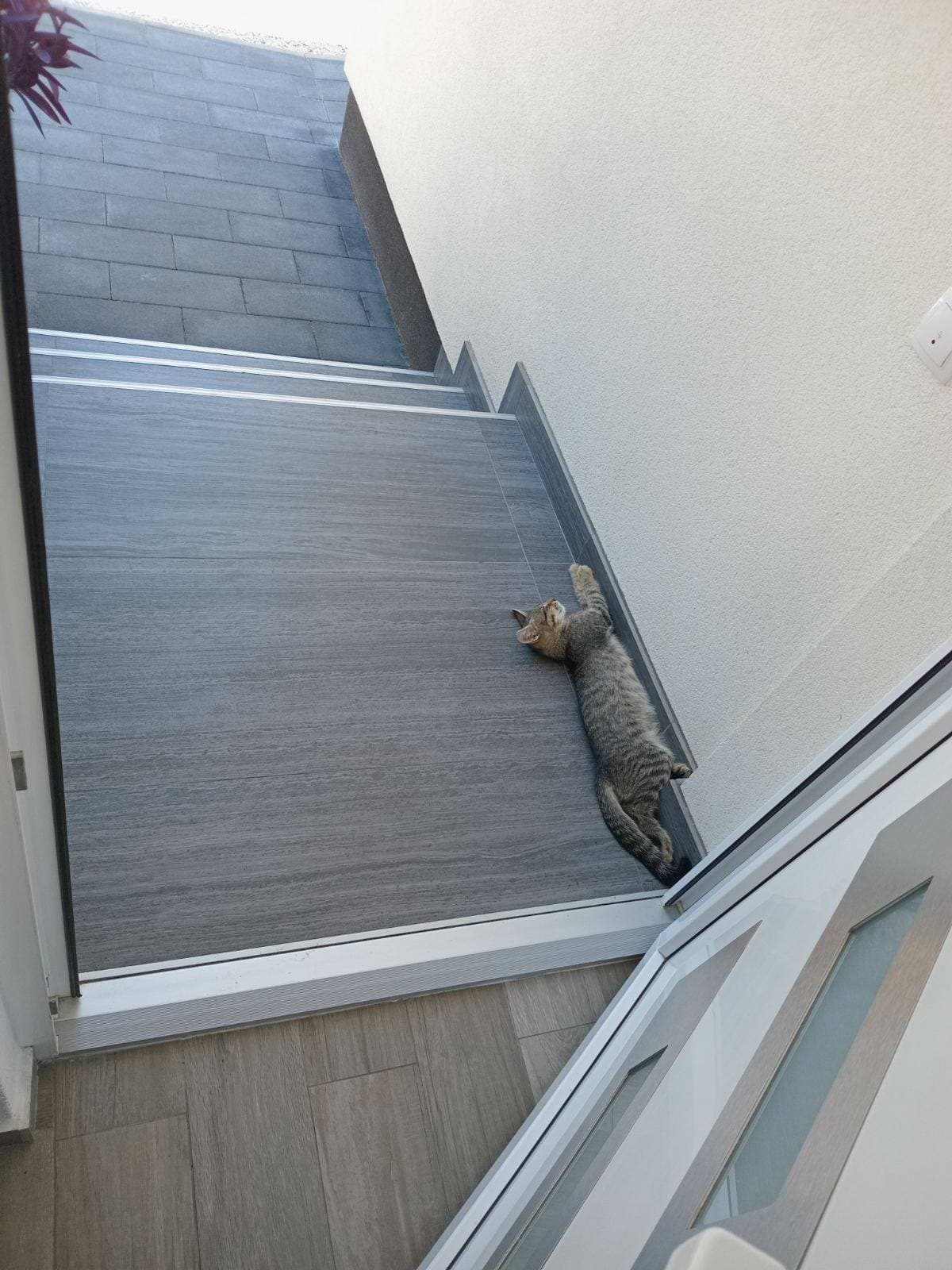 Stan u bascarsiji — aukcija na LIC.ba